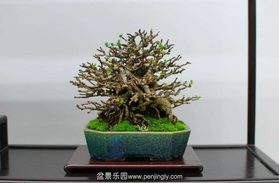 Shuga Ten 01-11-2013 027.jpg