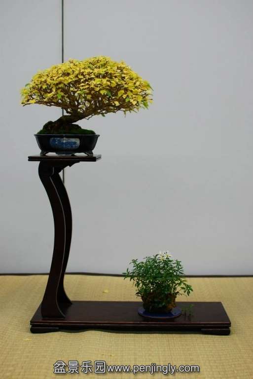 Shuga Ten 01-11-2013 028.jpg