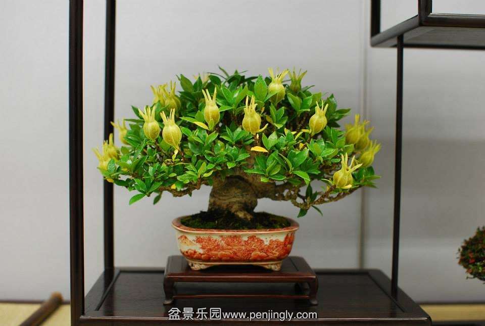 Shuga Ten 01-11-2013 033.jpg