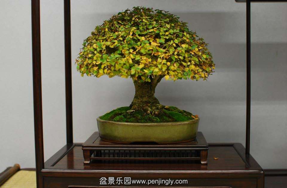 Shuga Ten 01-11-2013 034.jpg