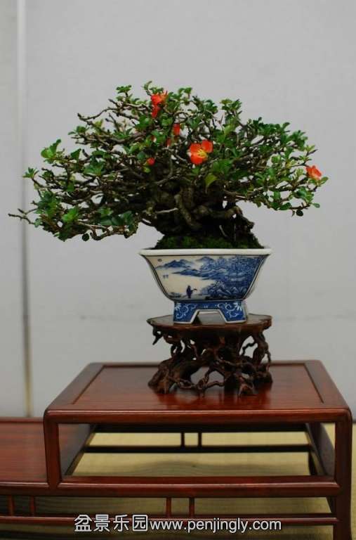 Shuga Ten 01-11-2013 039.jpg