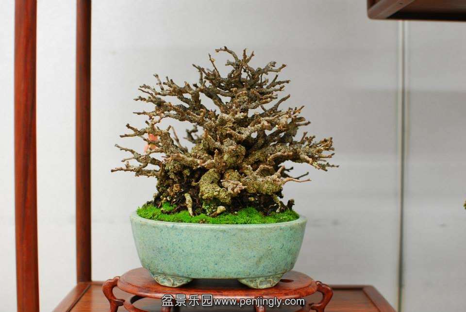 Shuga Ten 01-11-2013 041.jpg