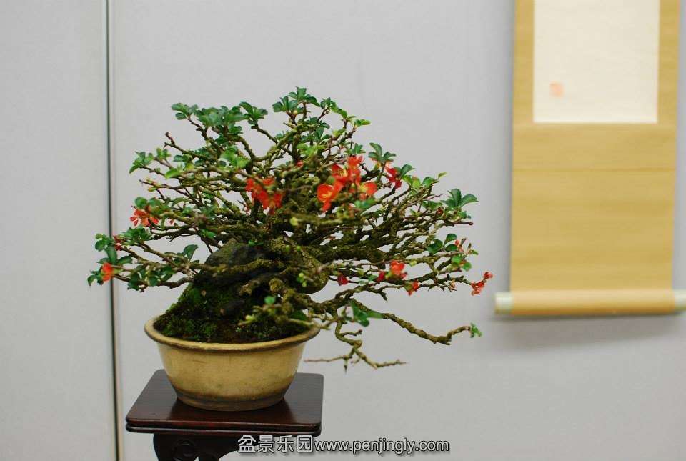 Shuga Ten 01-11-2013 043.jpg