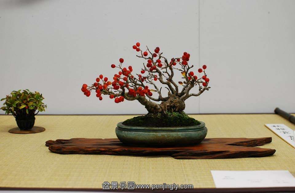 Shuga Ten 01-11-2013 044.jpg