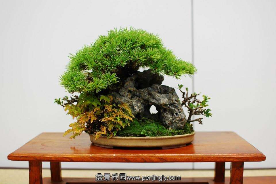 Shuga Ten 01-11-2013 046.jpg