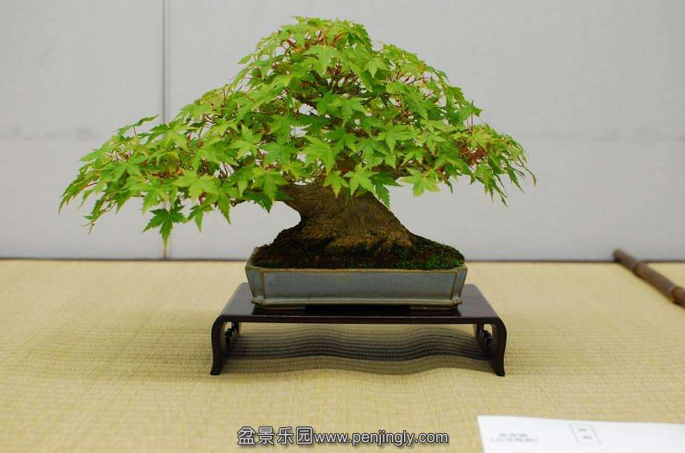 Shuga Ten 01-11-2013 048.jpg