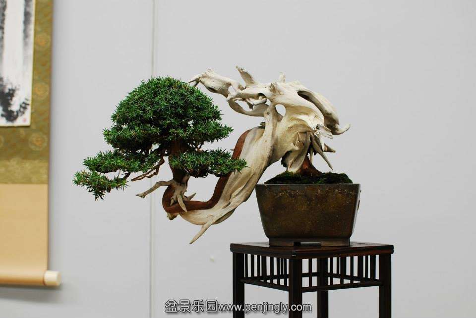 Shuga Ten 01-11-2013 053.jpg