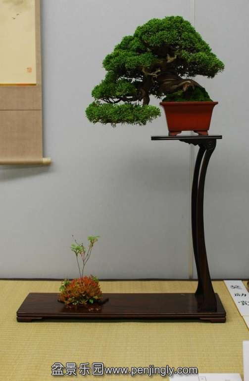 Shuga Ten 01-11-2013 057.jpg