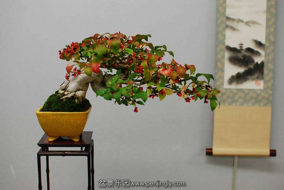 Shuga Ten 01-11-2013 061.jpg