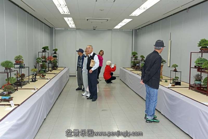 Shuga Ten 01-11-2013 006.jpg