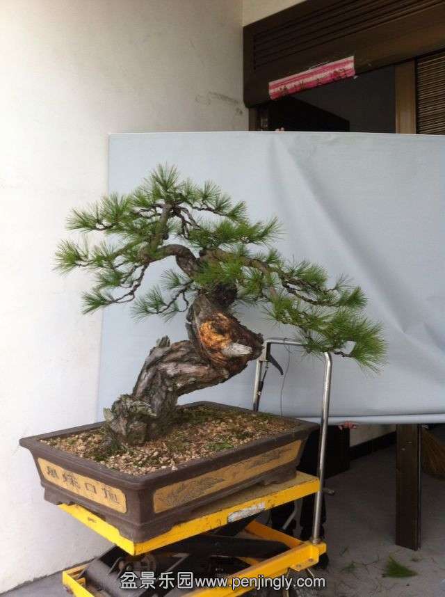 ��Ƭ 143_����.jpg