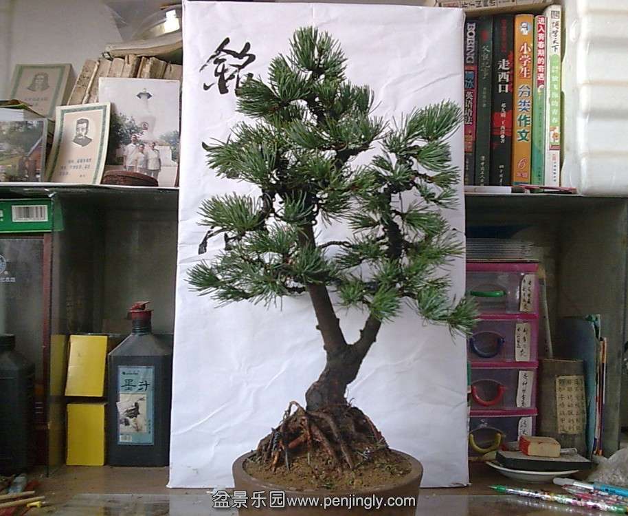 QQͼƬ20131129121916.jpg