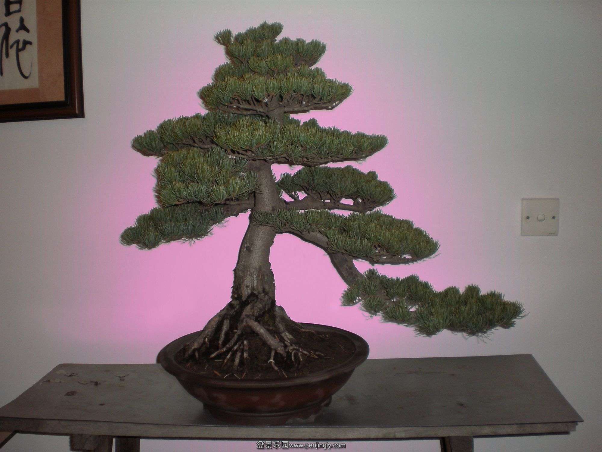 P1010021_.jpg