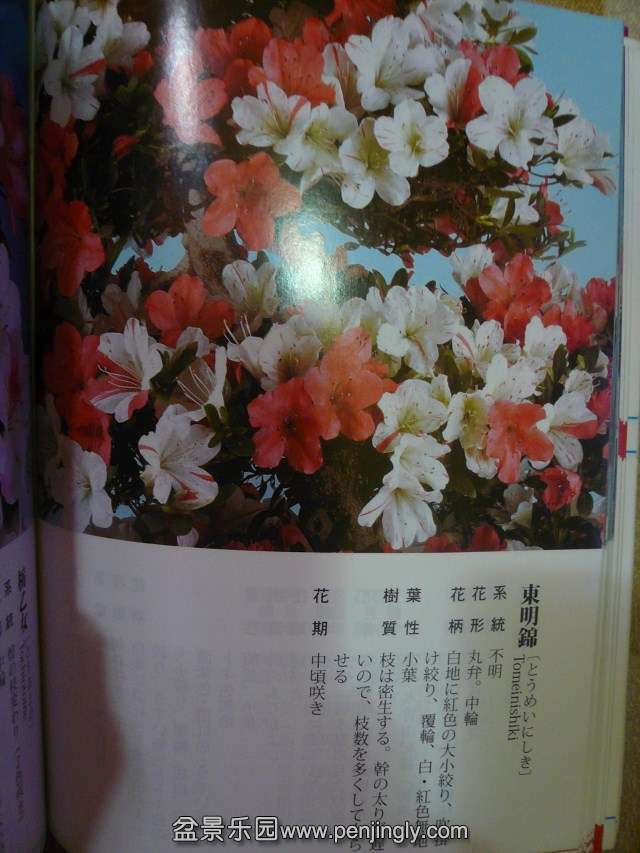 555.jpg