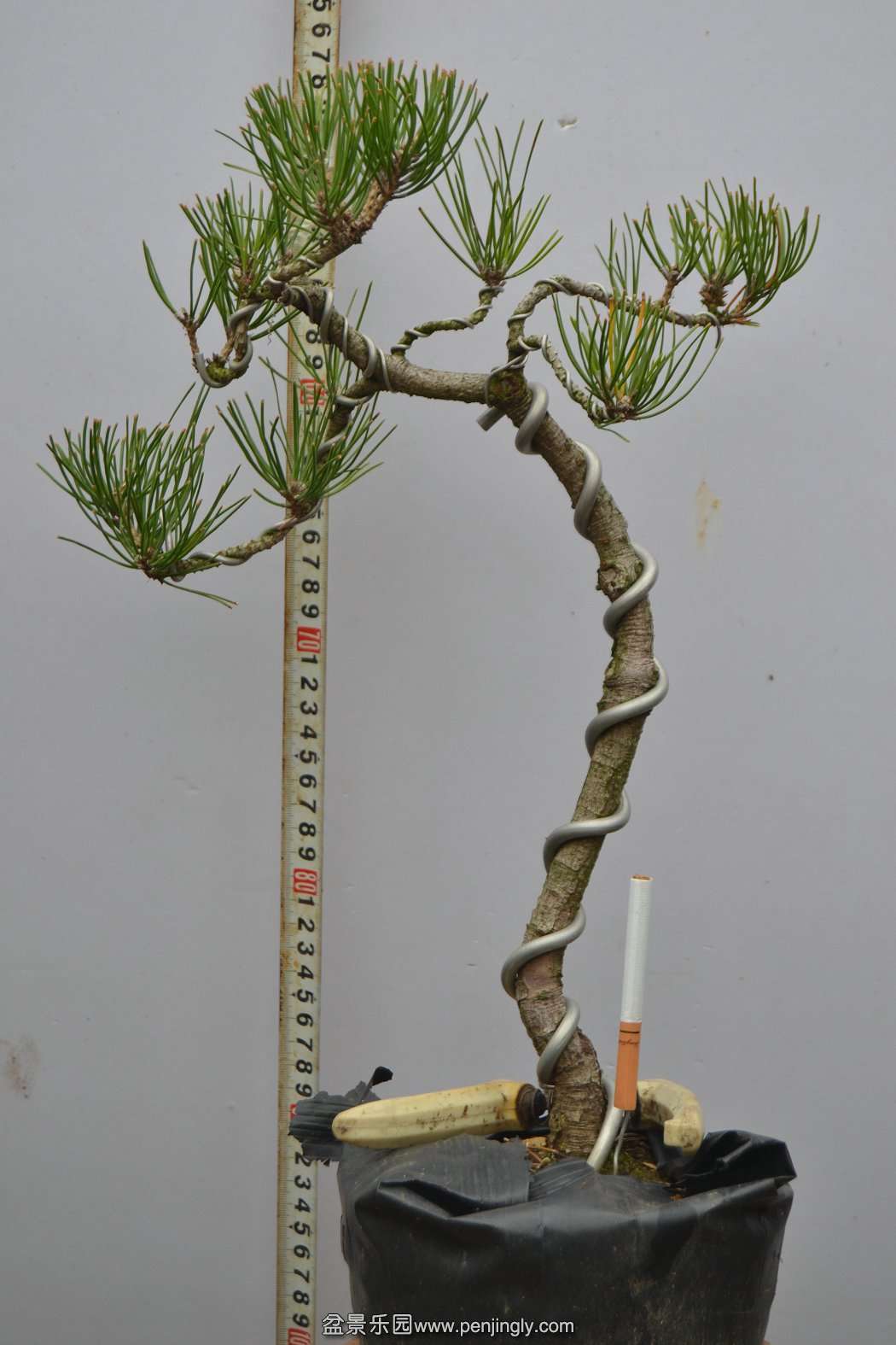13-11-23СƷ 045.jpg