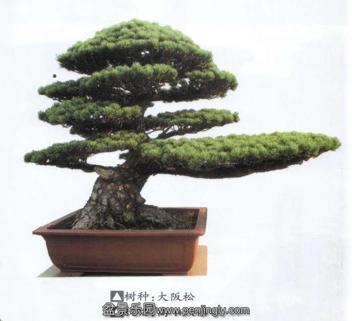 챦԰-2.jpg