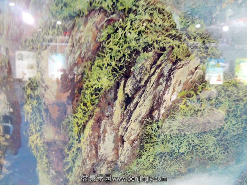DSCN3273_.jpg