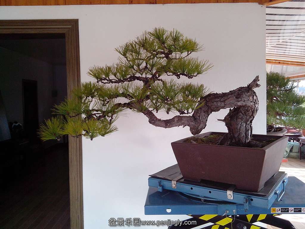 IMG_20131202_092422.jpg