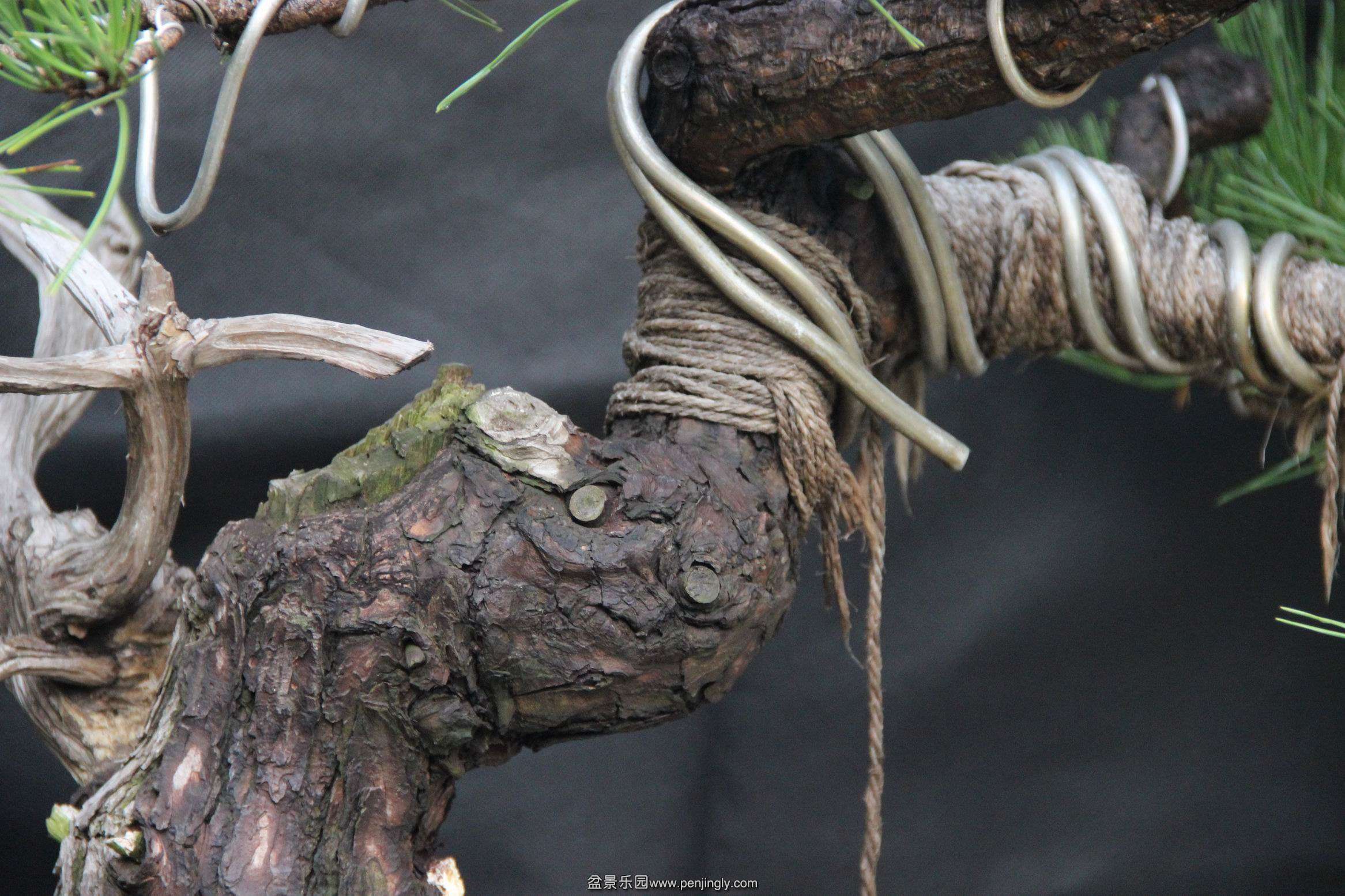 ������С IMG_1551.jpg