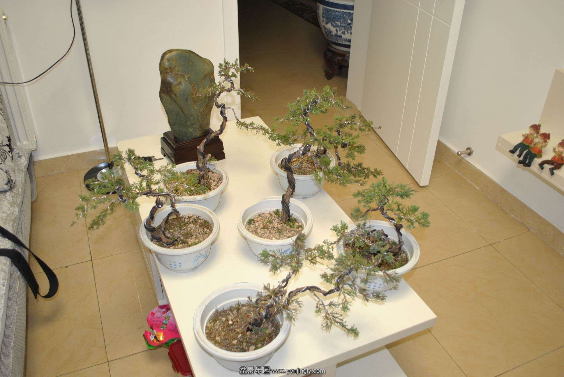 DSC_0856.jpg17.jpg