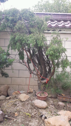 20131204_123743.jpg