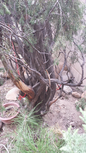 20131204_123807.jpg