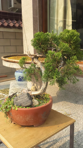 20131204_130326.jpg
