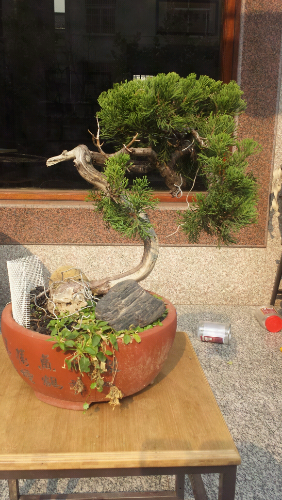 20131204_130309.jpg