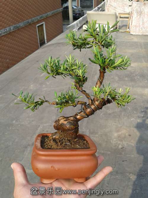 2013-12-04 12.47.07.jpg