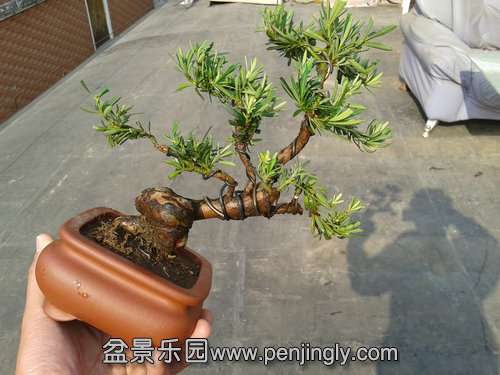 2013-12-04 12.47.48.jpg