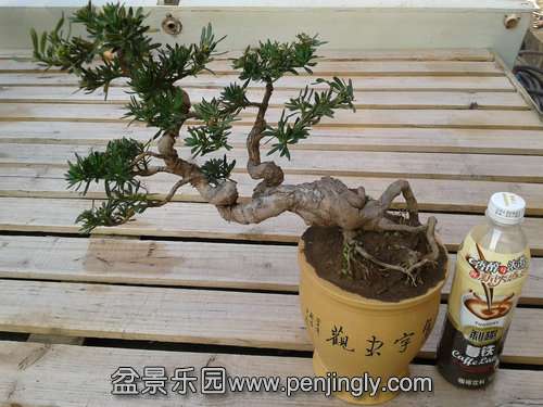 2013-12-04 13.49.49.jpg