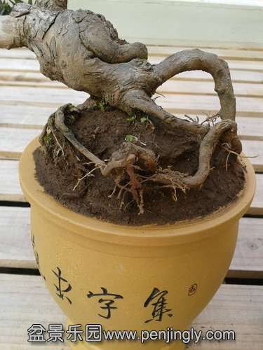 2013-12-04 13.51.32.jpg