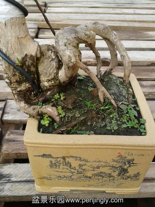 2013-12-04 14.07.56.jpg