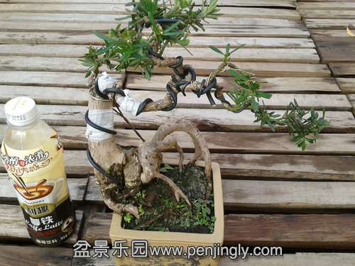 2013-12-04 14.08.28.jpg