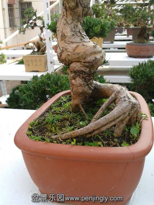 2013-12-04 14.16.46.jpg