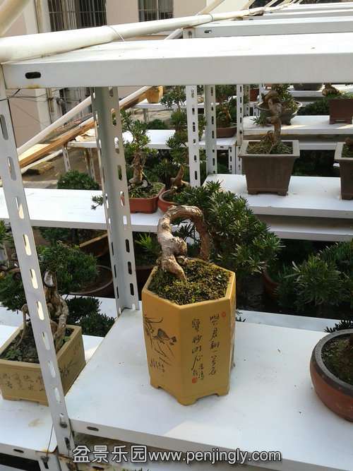 2013-12-04 14.17.26.jpg