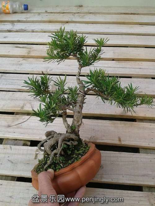 2013-12-04 14.30.00.jpg