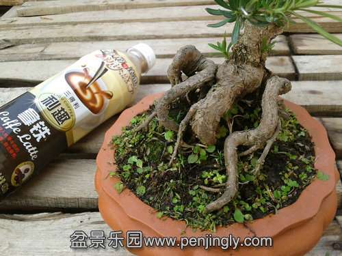 2013-12-04 14.31.40.jpg