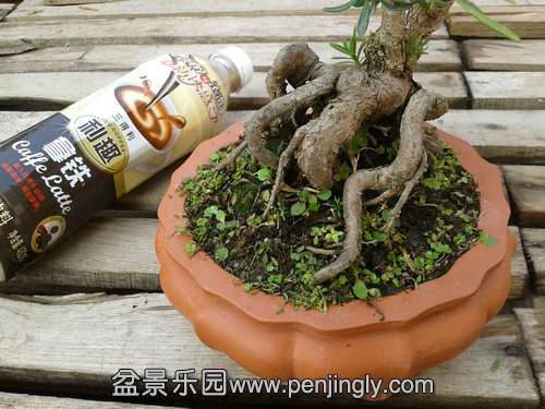 2013-12-04 14.31.46.jpg