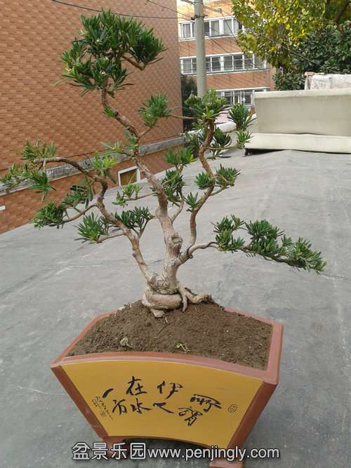 2013-12-04 14.33.54.jpg