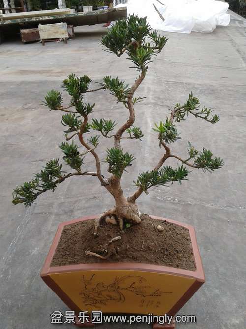 2013-12-04 14.37.07.jpg