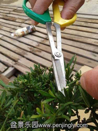 2013-12-04 14.40.00.jpg