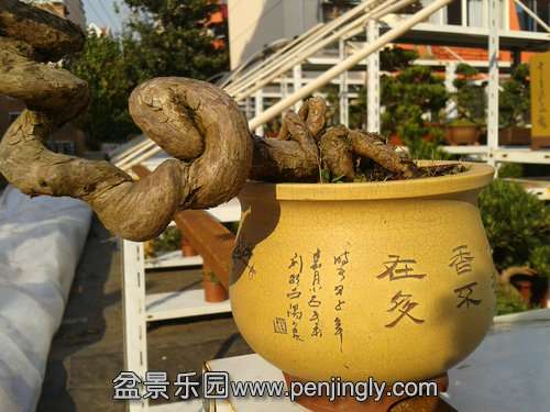 2013-11-30 14.12.50.jpg