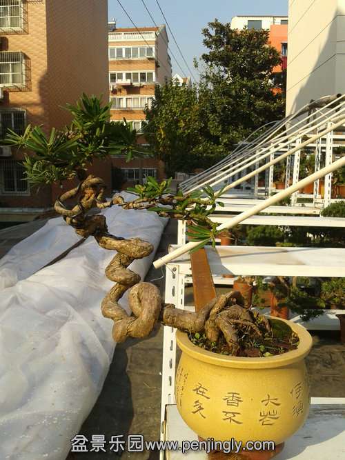 2013-11-30 14.14.07.jpg