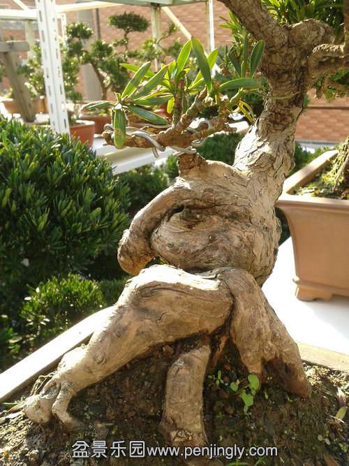 2013-11-30 14.19.03.jpg