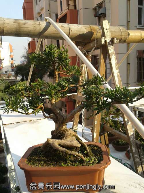 2013-11-30 14.29.02.jpg