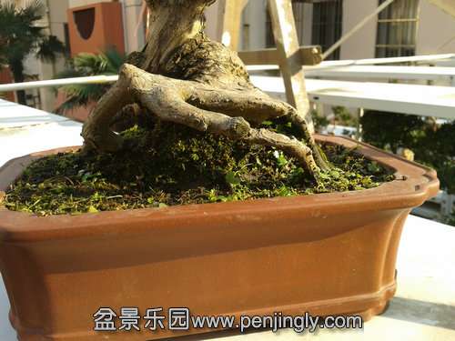 2013-11-30 14.29.16.jpg