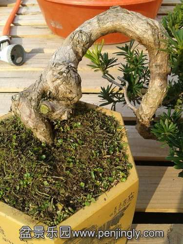 2013-12-02 13.34.06.jpg