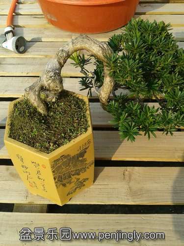 2013-12-02 13.34.23.jpg