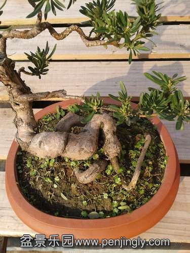 2013-12-02 13.37.59.jpg